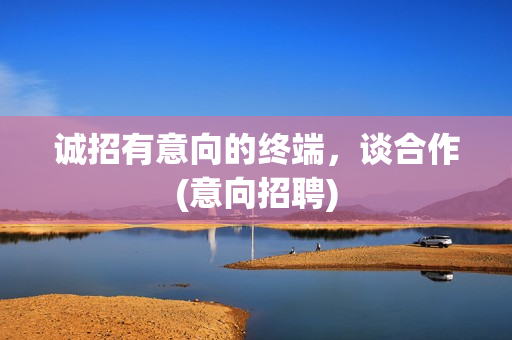 诚招有意向的终端，谈合作(意向招聘)