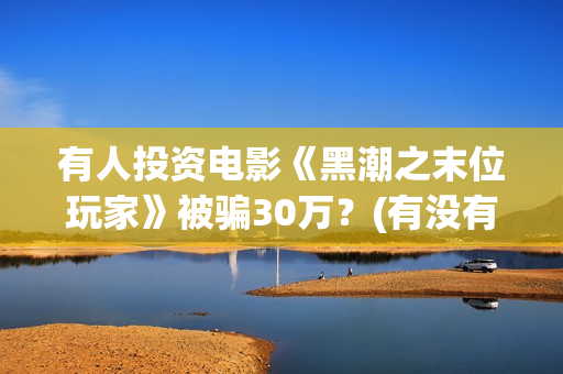 有人投资电影《黑潮之末位玩家》被骗30万？(有没有被电影投资上当)
