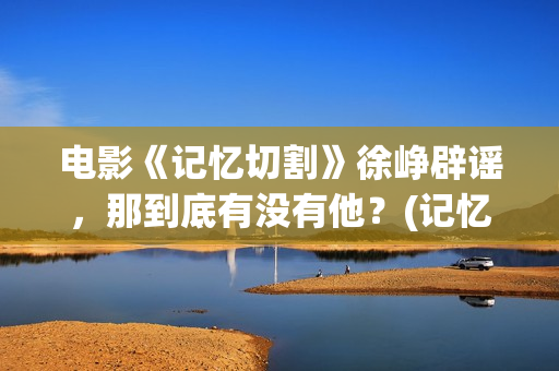 电影《记忆切割》徐峥辟谣，那到底有没有他？(记忆切割电影海报)