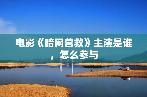 电影《暗网营救》主演是谁，怎么参与