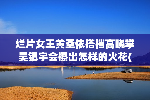 烂片女王黄圣依搭档高晓攀吴镇宇会擦出怎样的火花(黄圣依公演)