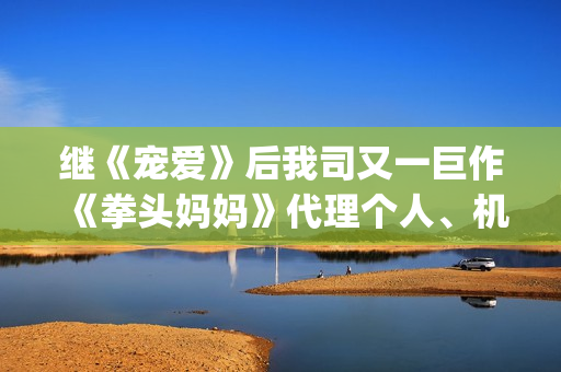 继《宠爱》后我司又一巨作《拳头妈妈》代理个人、机构等资方对接合作(《过后宠爱》)
