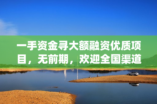 一手资金寻大额融资优质项目，无前期，欢迎全国渠道对接，酬丰！(一手资金是什么意思)