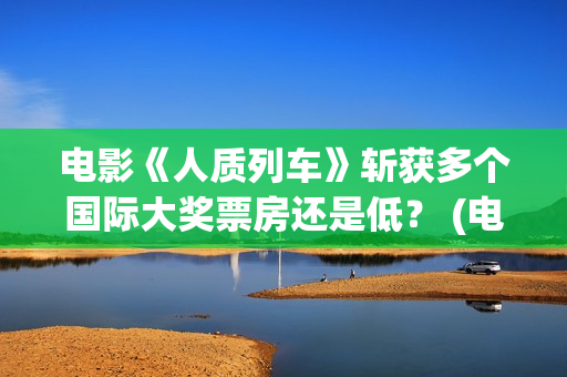 电影《人质列车》斩获多个国际大奖票房还是低？ (电影人质列车什么时候上映)