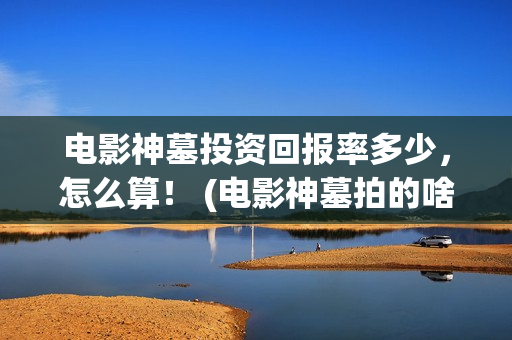 电影神墓投资回报率多少，怎么算！ (电影神墓拍的啥玩意)
