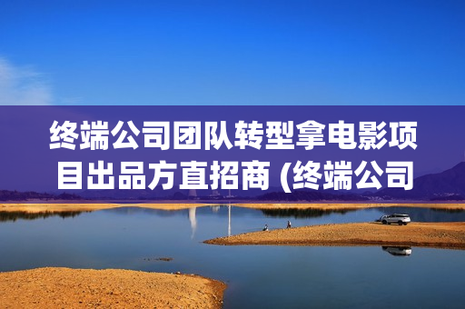 终端公司团队转型拿电影项目出品方直招商 (终端公司团队转型方案)