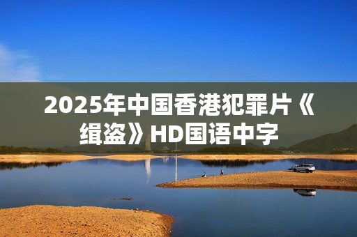 2025年中国香港犯罪片《缉盗》HD国语中字