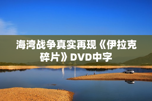 海湾战争真实再现《伊拉克碎片》DVD中字
