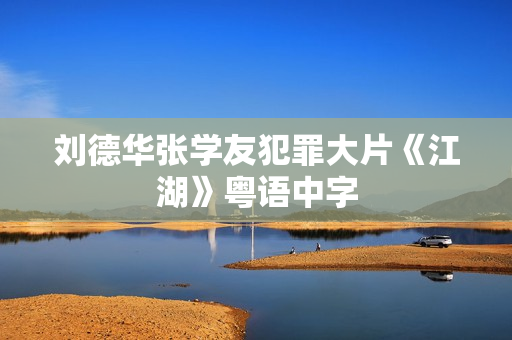 刘德华张学友犯罪大片《江湖》粤语中字
