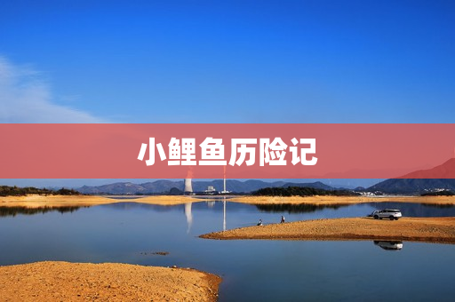 小鲤鱼历险记