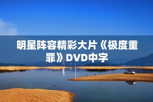 明星阵容精彩大片《极度重罪》DVD中字