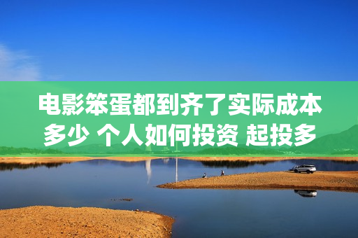 电影笨蛋都到齐了实际成本多少 个人如何投资 起投多少(请问笨蛋)