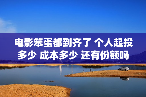 电影笨蛋都到齐了 个人起投多少 成本多少 还有份额吗(笨蛋都到齐了主题曲)
