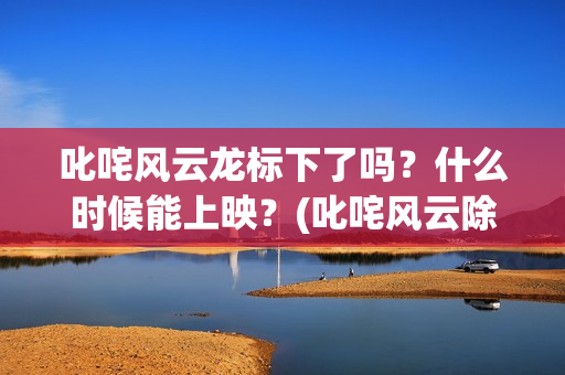 叱咤风云龙标下了吗？什么时候能上映？(叱咤风云除了龙还有谁)