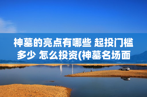神墓的亮点有哪些 起投门槛多少 怎么投资(神墓名场面)