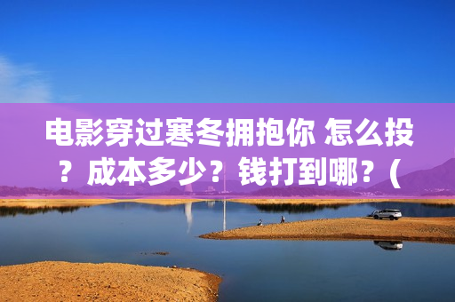 电影穿过寒冬拥抱你 怎么投？成本多少？钱打到哪？(电影穿过寒冬拥抱你剧情介绍)
