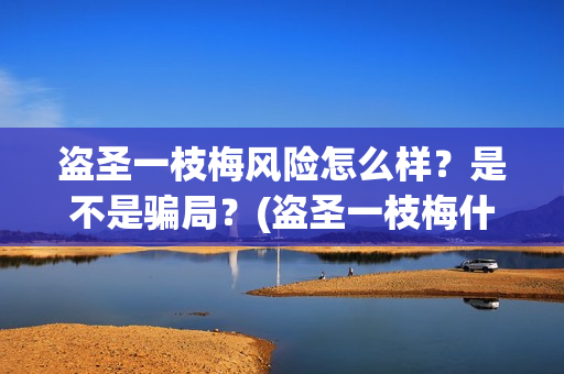 盗圣一枝梅风险怎么样？是不是骗局？(盗圣一枝梅什么时候上映)