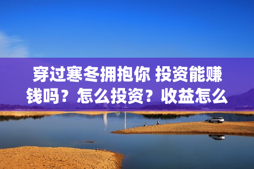 穿过寒冬拥抱你 投资能赚钱吗？怎么投资？收益怎么样？(穿过寒冬拥抱你哪年拍的)