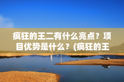 疯狂的王二有什么亮点？项目优势是什么？(疯狂的王二有什么好玩的)