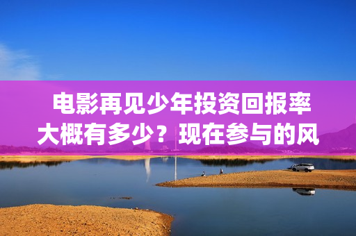  电影再见少年投资回报率大概有多少？现在参与的风险大吗？(电影再见少年剧情介绍)