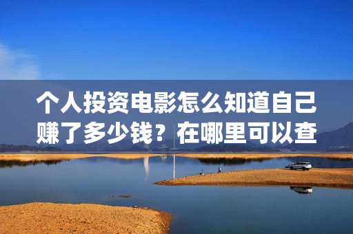 个人投资电影怎么知道自己赚了多少钱？在哪里可以查询？(个人投资电影项目,怎么投)