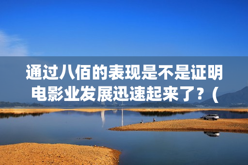 通过八佰的表现是不是证明电影业发展迅速起来了？(八佰运用了什么技法)