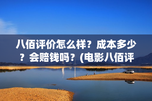 八佰评价怎么样？成本多少？会赔钱吗？(电影八佰评价如何)