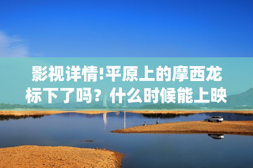 影视详情!平原上的摩西龙标下了吗？什么时候能上映？(平原百科)