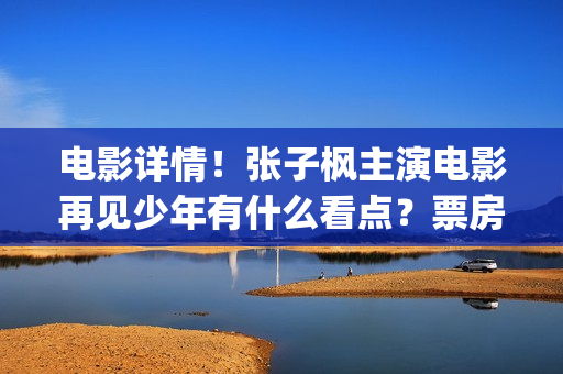 电影详情！张子枫主演电影再见少年有什么看点？票房竞争力怎样？(张子2017)