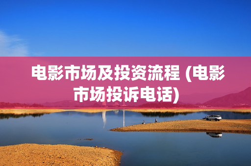  电影市场及投资流程 (电影市场投诉电话)