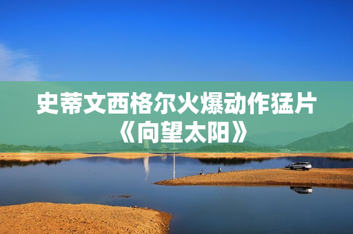 史蒂文西格尔火爆动作猛片《向望太阳》