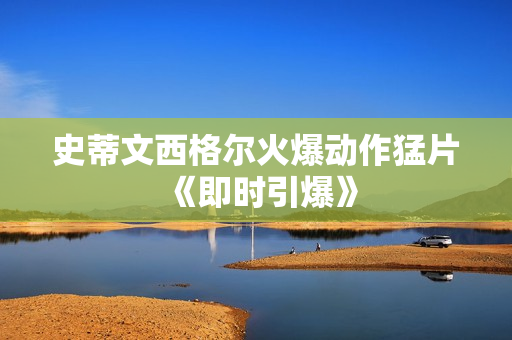 史蒂文西格尔火爆动作猛片《即时引爆》