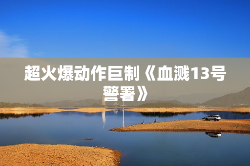 超火爆动作巨制《血溅13号警署》