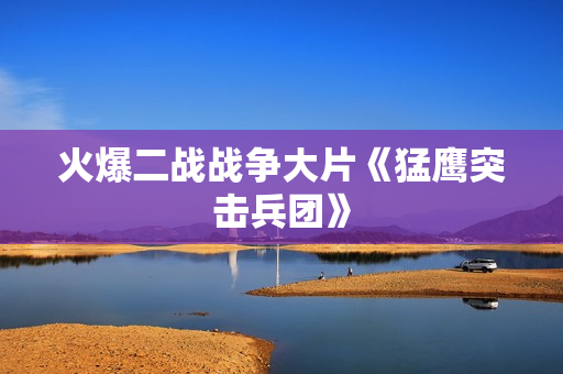 火爆二战战争大片《猛鹰突击兵团》