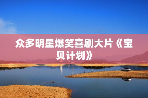 众多明星爆笑喜剧大片《宝贝计划》