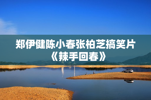 郑伊健陈小春张柏芝搞笑片《辣手回春》