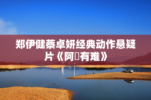 郑伊健蔡卓妍经典动作悬疑片《阿孖有难》