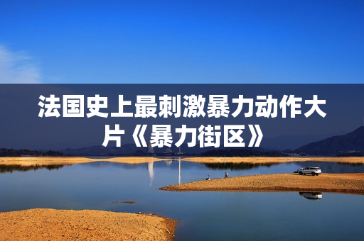 法国史上最刺激暴力动作大片《暴力街区》
