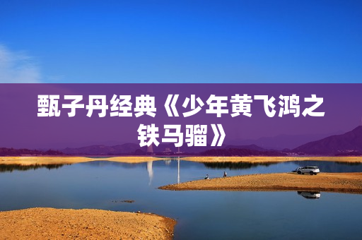 甄子丹经典《少年黄飞鸿之铁马骝》
