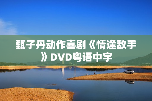 甄子丹动作喜剧《情逢敌手》DVD粤语中字