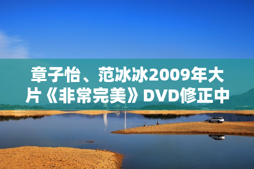 章子怡、范冰冰2009年大片《非常完美》DVD修正中字