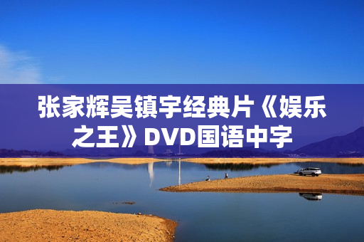 张家辉吴镇宇经典片《娱乐之王》DVD国语中字