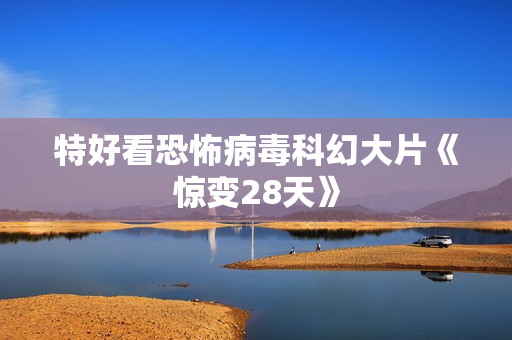特好看恐怖病毒科幻大片《惊变28天》