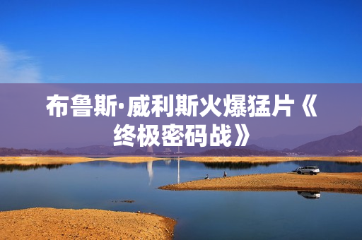 布鲁斯·威利斯火爆猛片《终极密码战》
