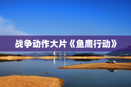 战争动作大片《鱼鹰行动》