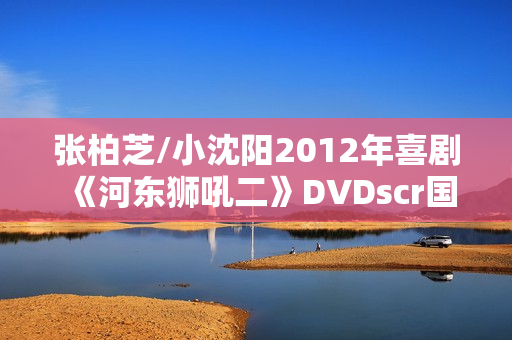 张柏芝/小沈阳2012年喜剧《河东狮吼二》DVDscr国语中字