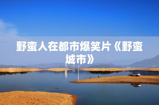 野蛮人在都市爆笑片《野蛮城市》