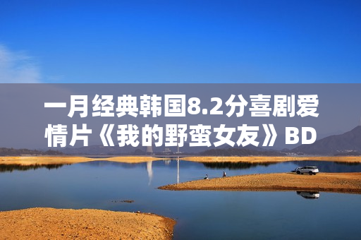 一月经典韩国8.2分喜剧爱情片《我的野蛮女友》BD双语中字