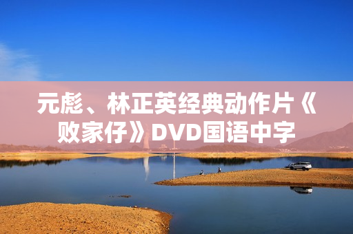 元彪、林正英经典动作片《败家仔》DVD国语中字