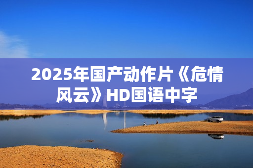 2025年国产动作片《危情风云》HD国语中字